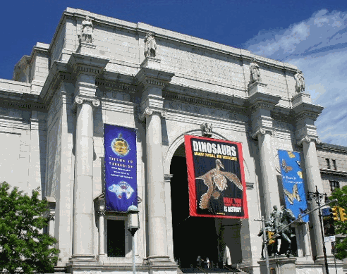 6_american-museum-of-natural-history