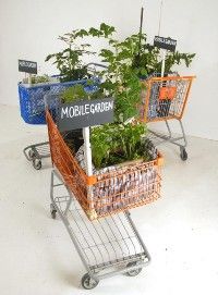 mobile-shopping-cart-garden