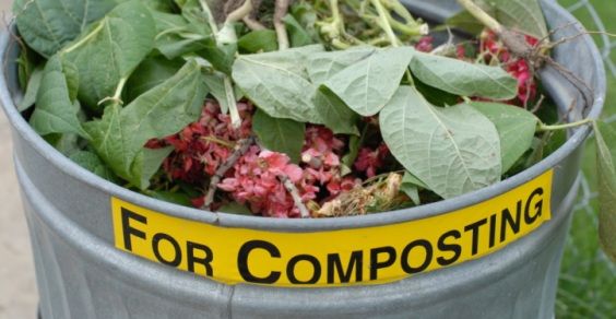 compostaggio