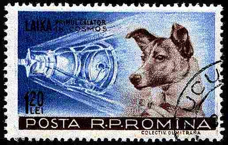 laika-space-dog-stamp
