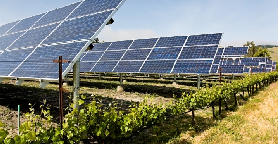 fotovoltaico_agricoltura