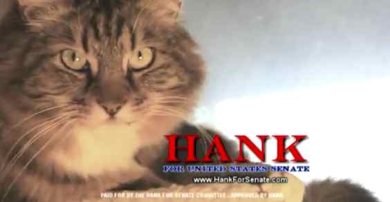 Hank_for_Senate