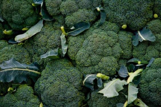 broccoli donne