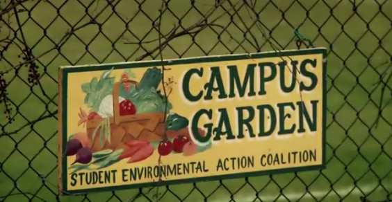 campus garden