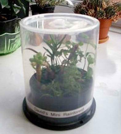 DIY-greenhouses-spindle-case
