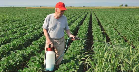 pesticidi agricoltura pan
