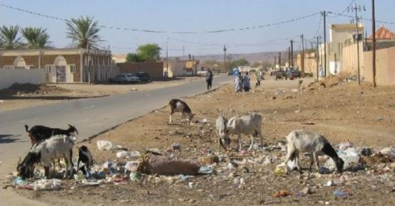 mauritania buste plastica 2