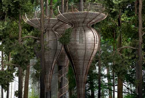 roost treehouse 3