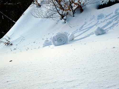 snow roller 2