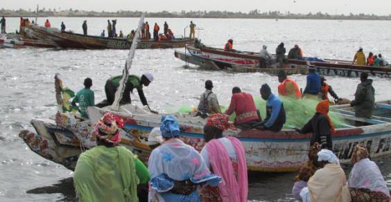 Senegal pescatori cover