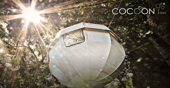 cocoon 