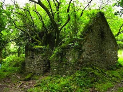 8-Casa-abbandonata-in-Irlanda