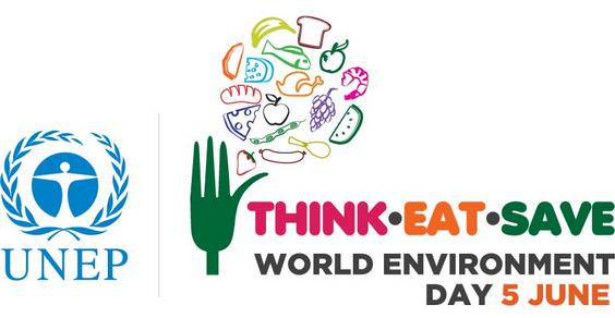Giornata Mondiale Ambiente - 2013