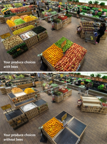 api supermercato