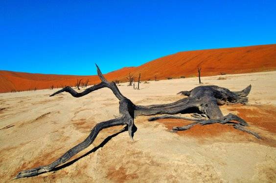 Namibia Deserto dreamstimemaximum 5450182