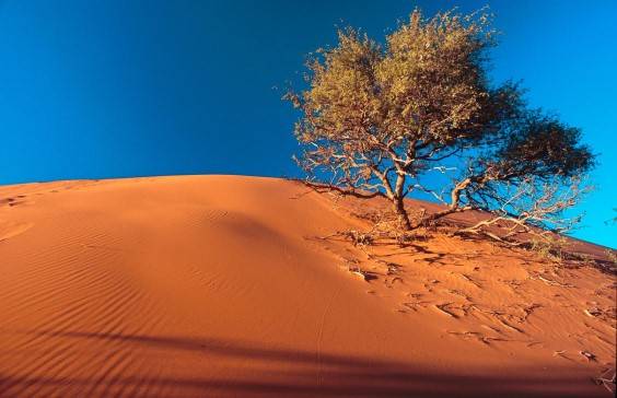 Namibia_deserto
