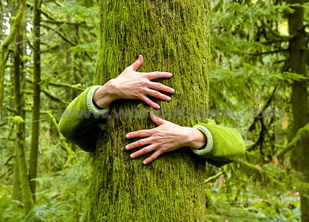hugging-tree