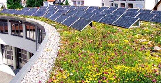 fotovoltaico tetti green