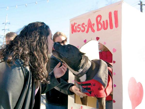 kiss bull