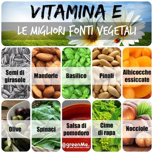 vitaminaE-fonti-vegetali
