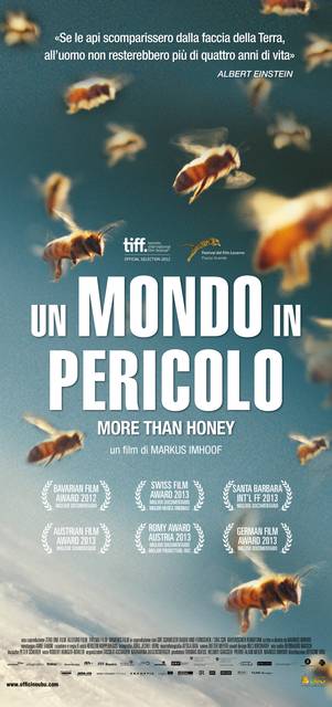 un-mondo-in-pericolo-more-than-honey-poster-italia mid
