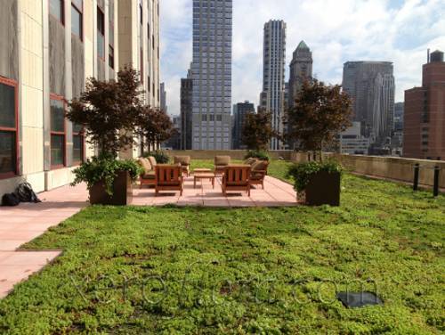 Xero-Flor-Green-Roof-Projects-Empire-State-1