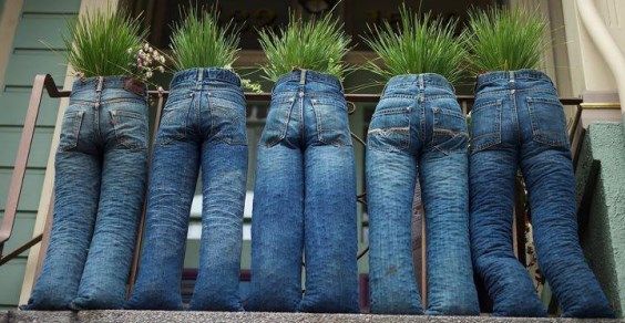 orto jeans