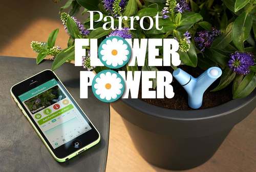parrot flower power 2