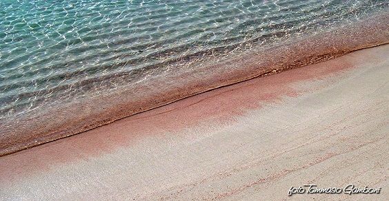 venduta spiaggia rosa