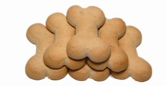 biscotti per cani fatti in casa