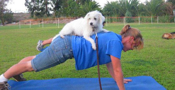 doggy boot camp