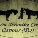 farm serenity cow