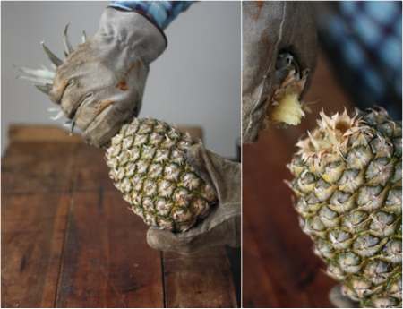 coltivare ananas secondo metodo