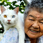 gatti e anziani