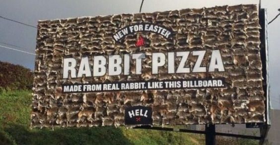 rabbit-pizza-2