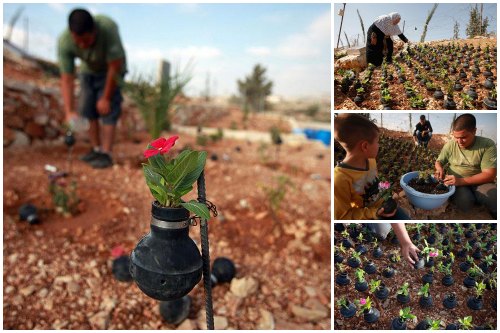 Quando dalle bombe nasce la vita- in Palestina crescono fiori dai contenitori dei gas lacrimogeni