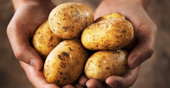 come coltivare patate