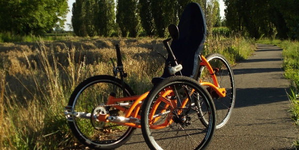 velocipede 1