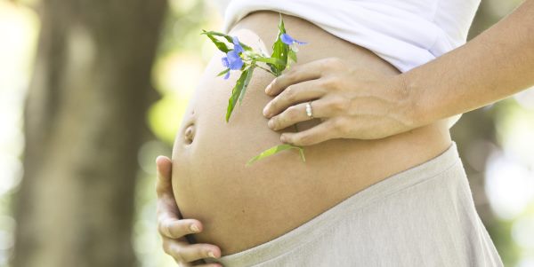 erbe officinali gravidanza