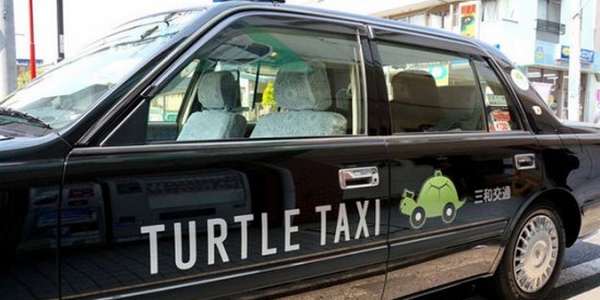 turtle taxi 1