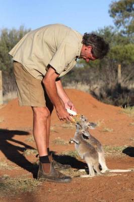 b2ap3_thumbnail_Chris-Barnes-Kangaroo-Sanctuary-canguri-orfani-Australia-07.jpg