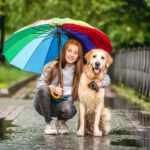 cane pioggia