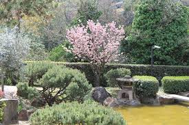 giardino-giapponese3