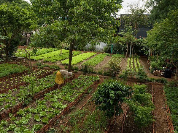 agricoltura sostenibile 5