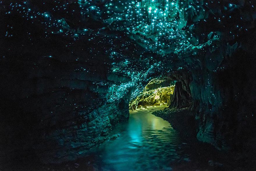 glowworms cave