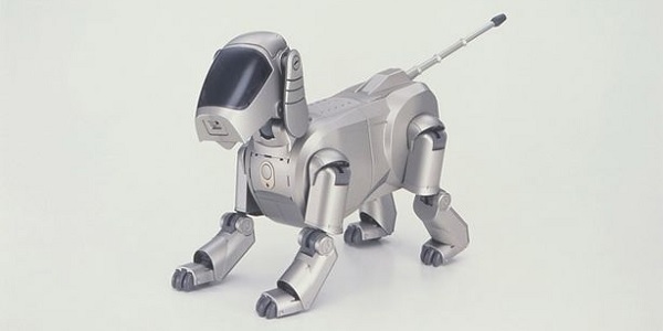 robot cani