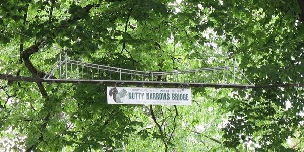 nutty narrows bridge2
