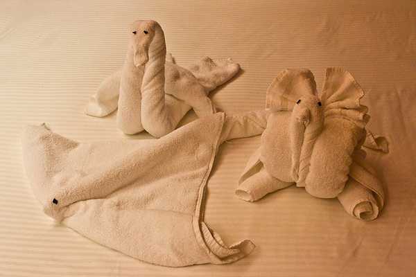 animaletti asciugamani 6