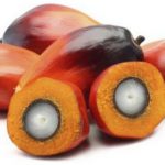 olio di palma colorante sudan