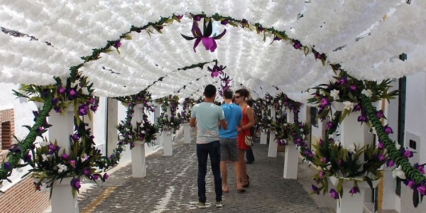 O espetáculo das milhares de flores de papel que colorem Campo Maior (FOTO)